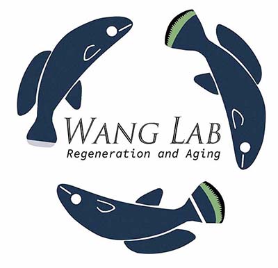 WWlab_LOGO – The Wang Lab